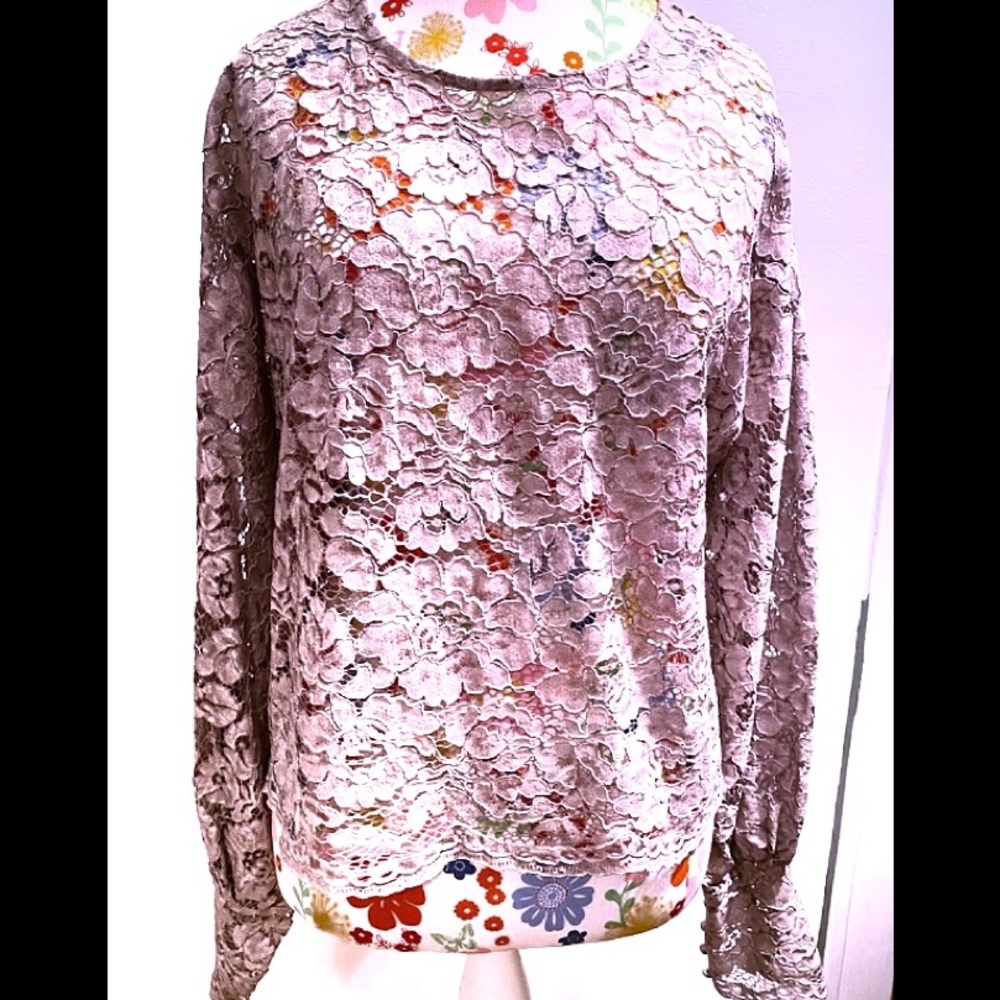 Zara Lace Champagne Blouse with Button Cuffs